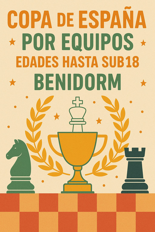 ACTUALIDAD 13
