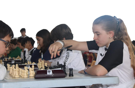 Inicio 7